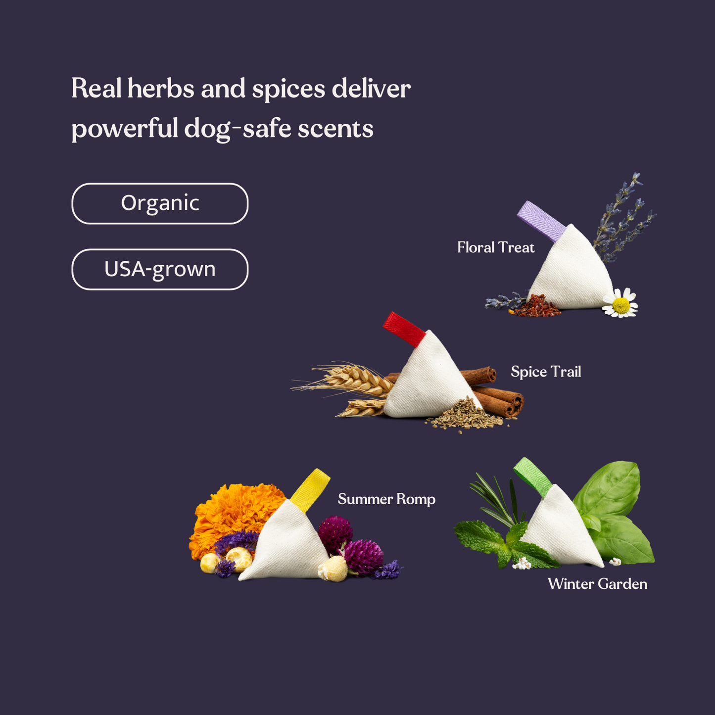 Scent Training Starter Kit