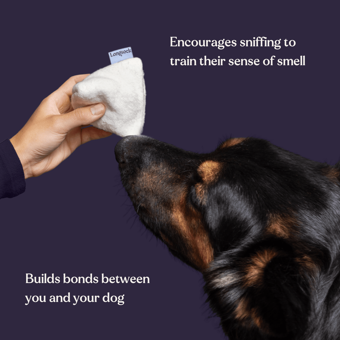 Scent Training Starter Kit