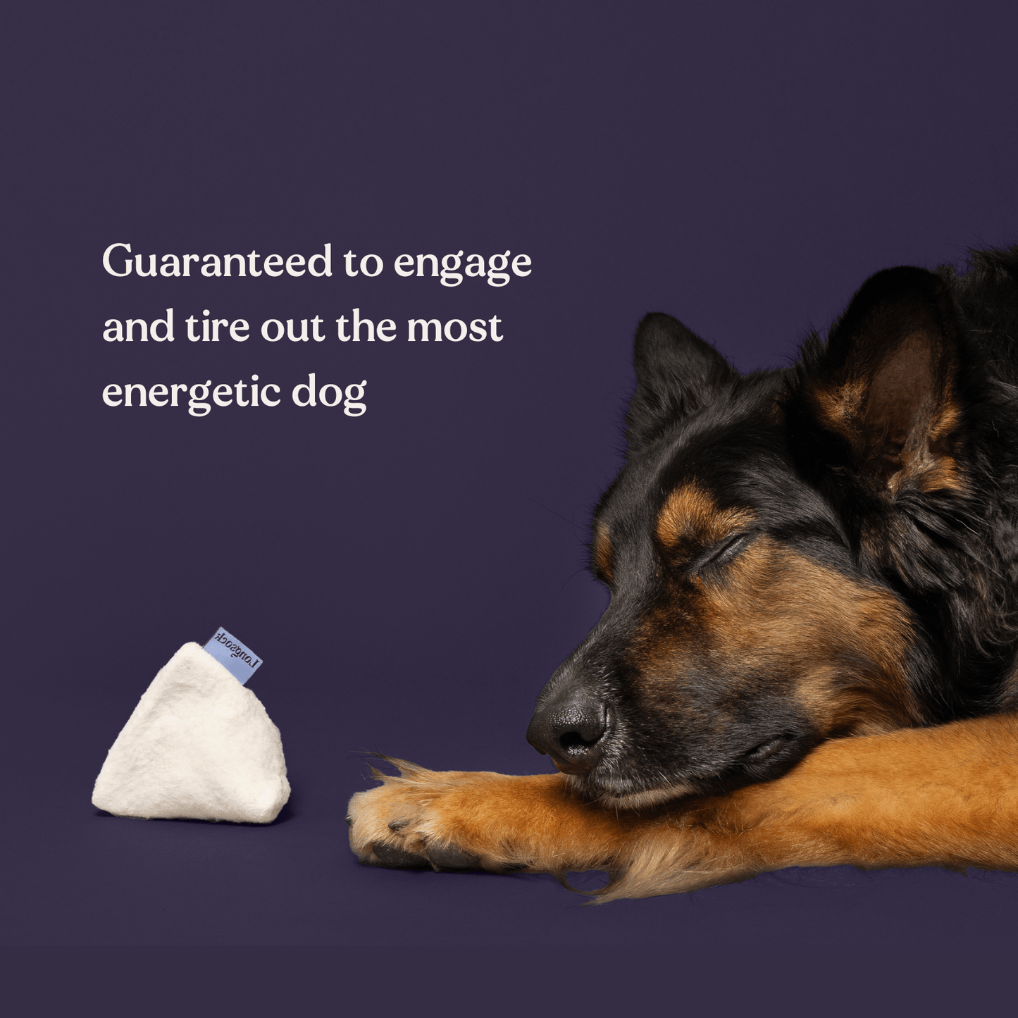 Scent Training Starter Kit